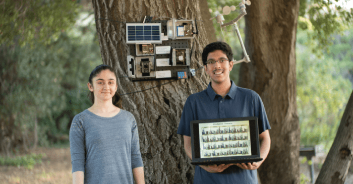 Google ai social good impact challenge global competition