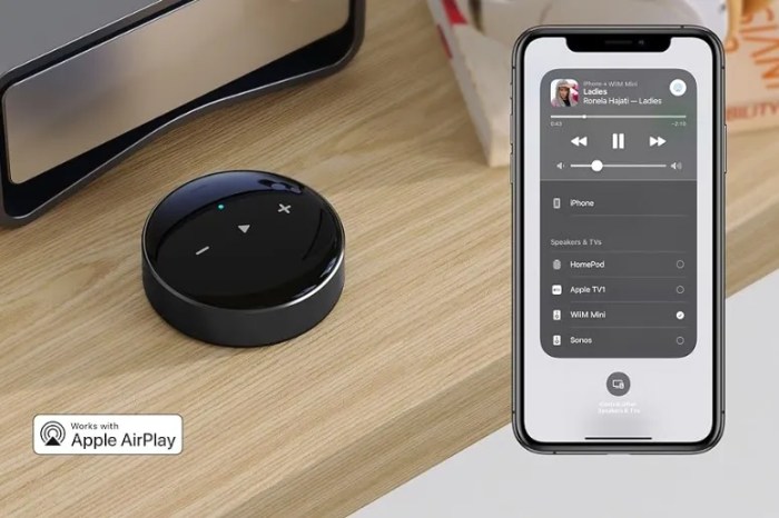 Wiim mini multi room streamer chromecast audio