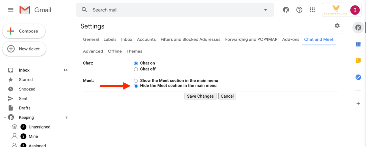 How to google meet gmail hide
