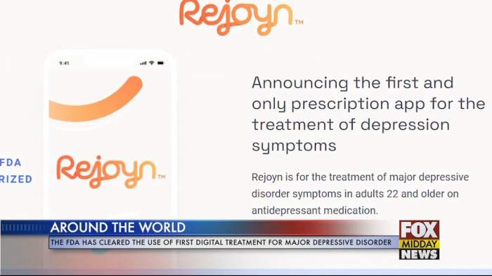 Rejoyn wants to treat your depression digitally experts arent sure