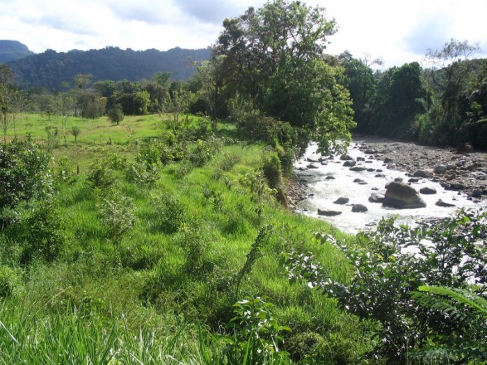 Forest restoration indigenous human rights costa rica earth day