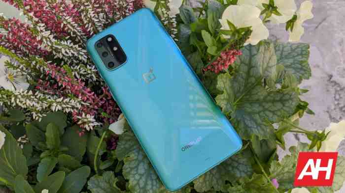 Oneplus 8t facebook bloatware apps and services installer netflix google play services