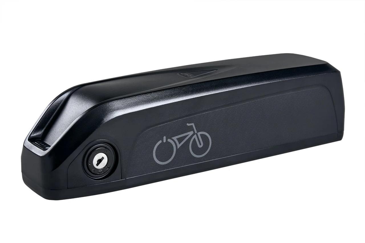 Rad power bikes battery safety radster radwagon