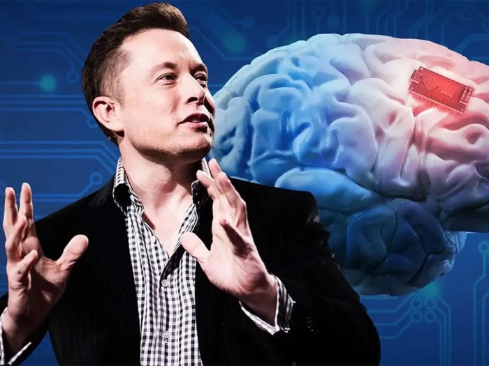 Elon musk neuralink brain implant transportation department investigation contaminated