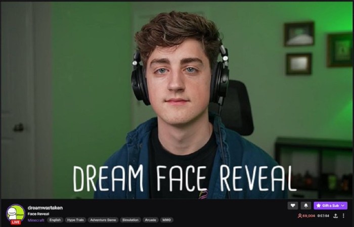 Watch youtuber dream finally reveal his face