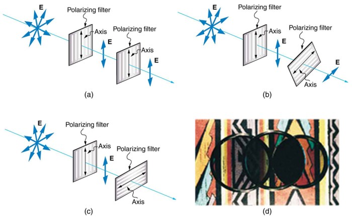 Social network polarization ezra klein why were polarized q a