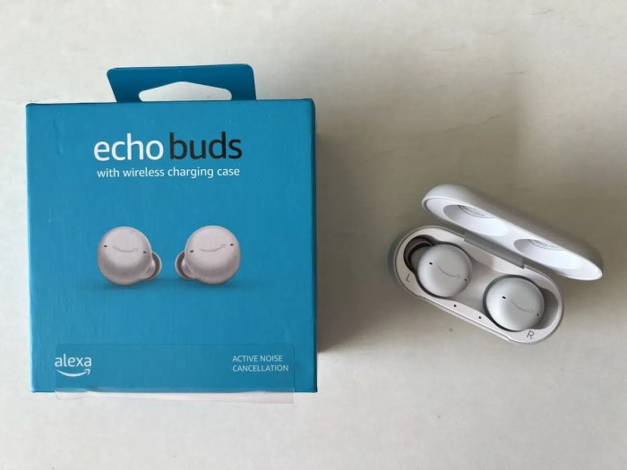 Buds echo cancelling noise Amazon echo buds wireless earbuds control ultimate edition steam google home max speaker deal sale