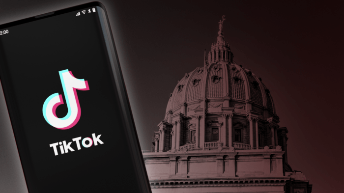 Senate passes bill banning tiktok on government devices