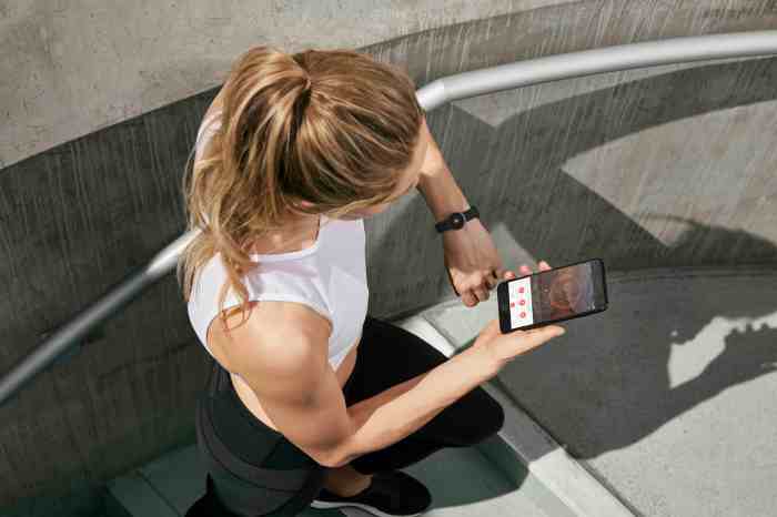 Misfit tracker indicator