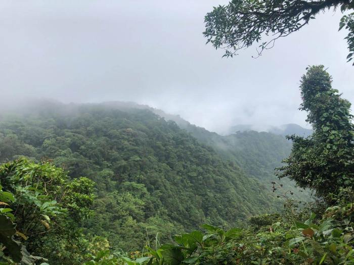 Forest restoration indigenous human rights costa rica earth day