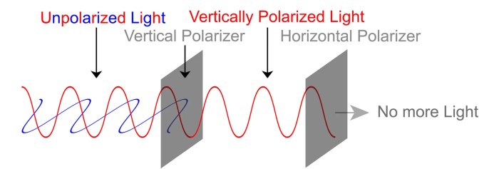 Polarized lenses lens sunglasses clearly Social network polarization ezra klein why were polarized q a