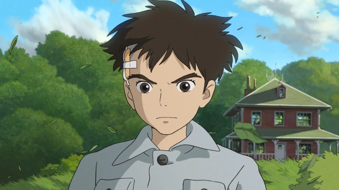 Hayao miyazaki studio ghibli red turtle ronja robbers daughter