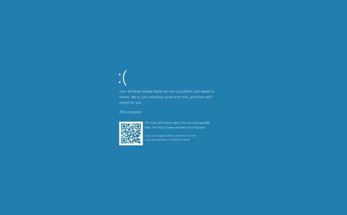 Linux blue screen of death bsod systemd update