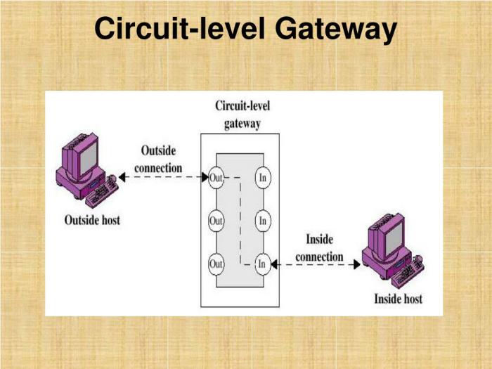 What is a circuit level gateway