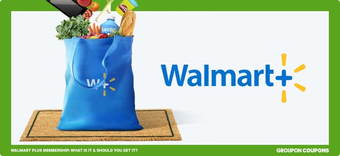 Holiday savings are in the bag with a walmart plus annual membership now 50 off for black friday