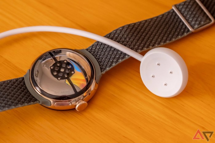 Pixel watch 2 battery chip rumor
