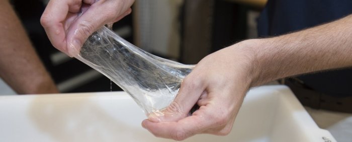 Hagfish flaccid skin shark bites slime
