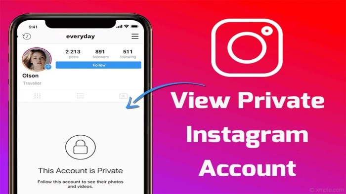 View instagram private account
