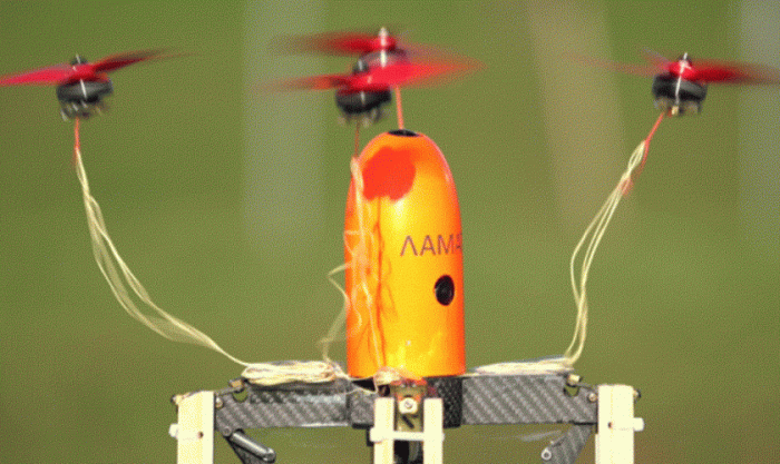 Airspace drone capture product