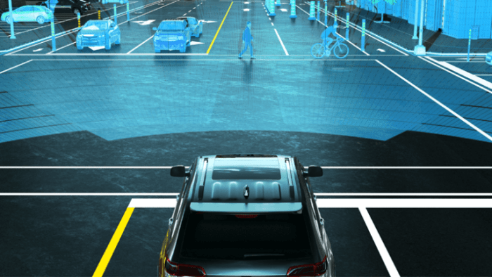 Driverless teslas are actually driverless now