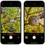 How to take macro photos with iphone