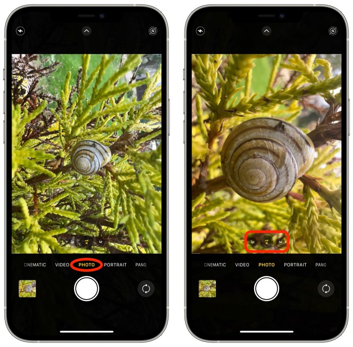How to take macro photos with iphone