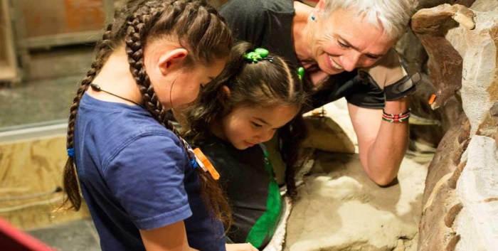 Tufts love rex skull found skeleton
