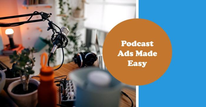 Ctrl walt delete podcast online ads