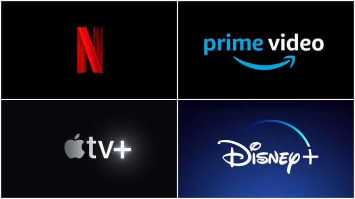 Streaming services netflix hbo disney plus amazon price shows movies