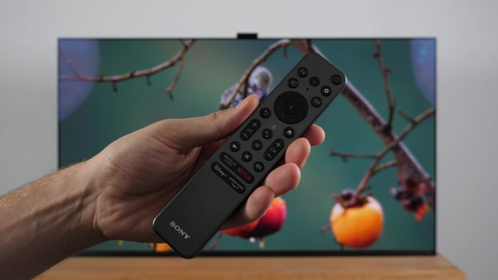 Sony qd oled mini led tvs a95k x95k a90k a80k price release date