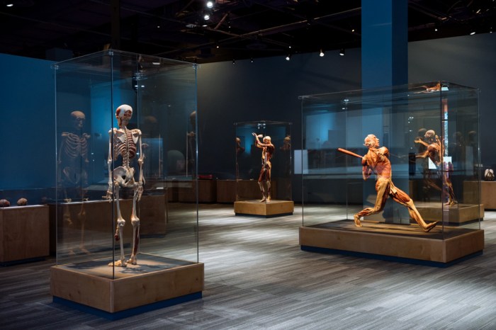 The met museum talking pictures exhibit adobe photos art tech