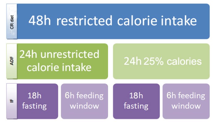 Alternate day fasting dieting weight loss calorie restriction health