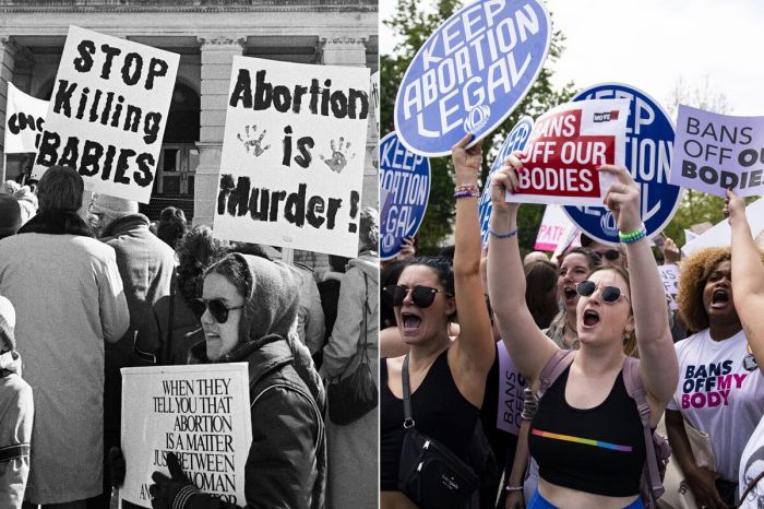 Online abortion information ban roe wade section 230 first amendment