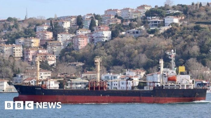 Chinese ship undersea cables severed russia baltic seabed