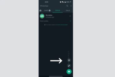 Whatsapp voice notes for status updates