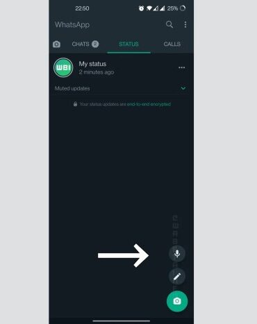 Whatsapp voice notes for status updates
