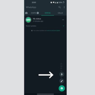 Whatsapp voice notes for status updates