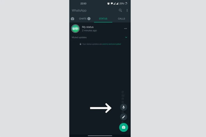 Whatsapp voice notes for status updates