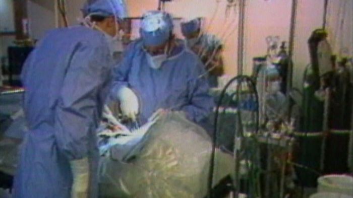 Cryonics brain preservation and the weird science of cheating death alcor