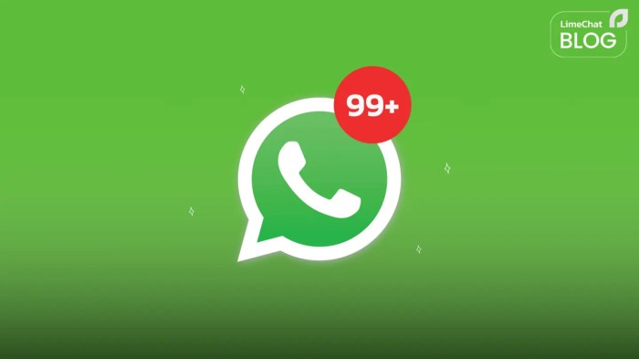 Whatsapp spam caller privacy features