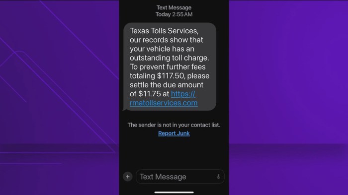 Check your messages scam texts on the rise