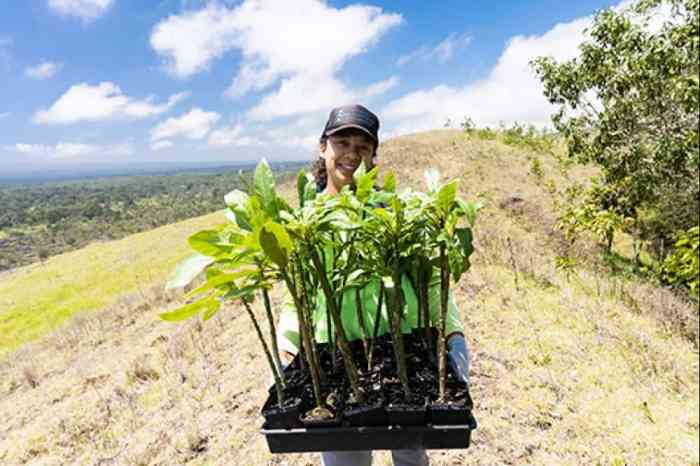Ethereal fairy lantern plant thought to be extinct rediscovered in japan