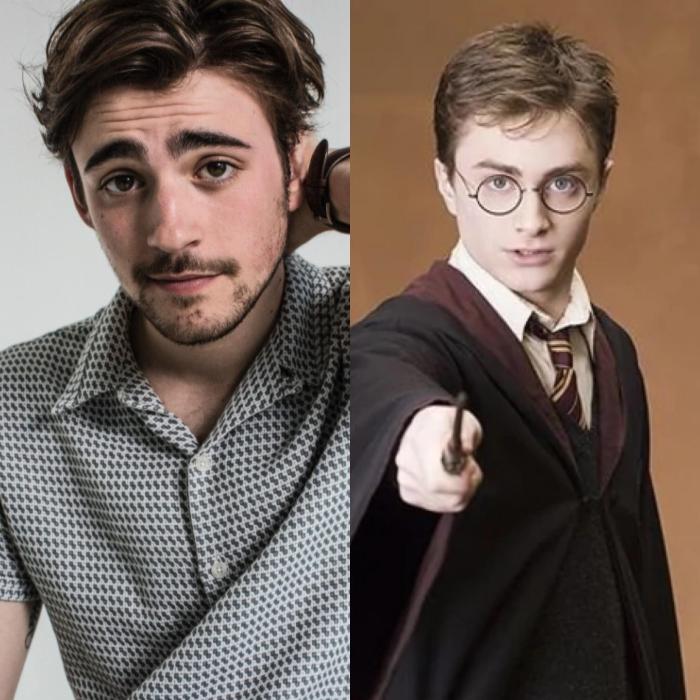Harry potter hbo max series spin off prequel ideas