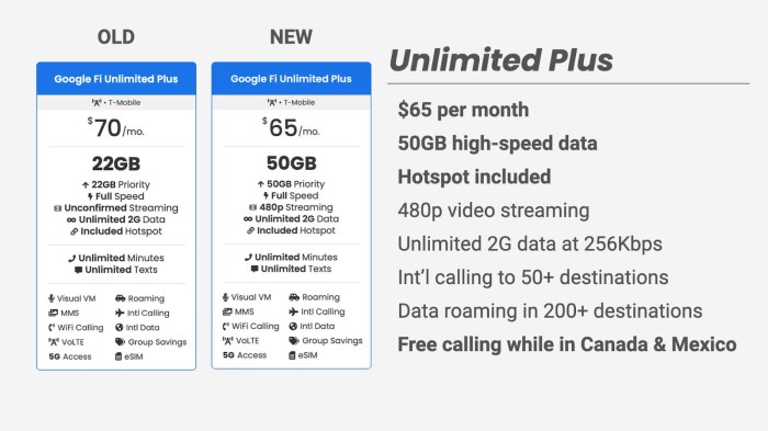 Google fi simply unlimited plan price