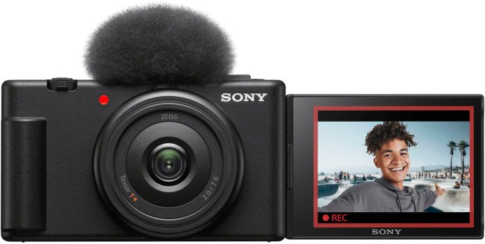 Best camera to buy