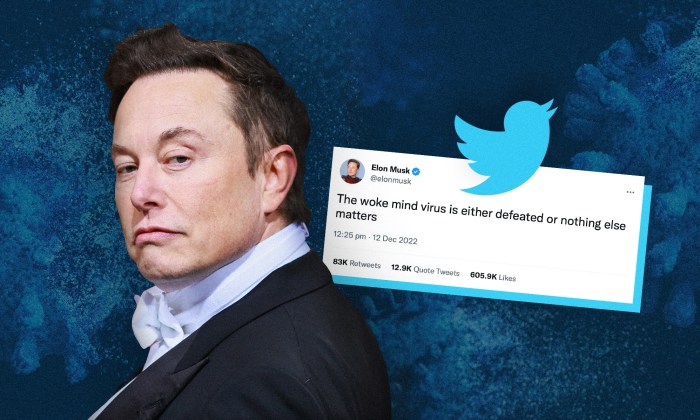 Elon musk says woke mind virus is making netflix unwatchable