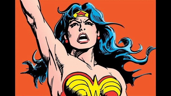 Wonder woman fired ambassador un petition