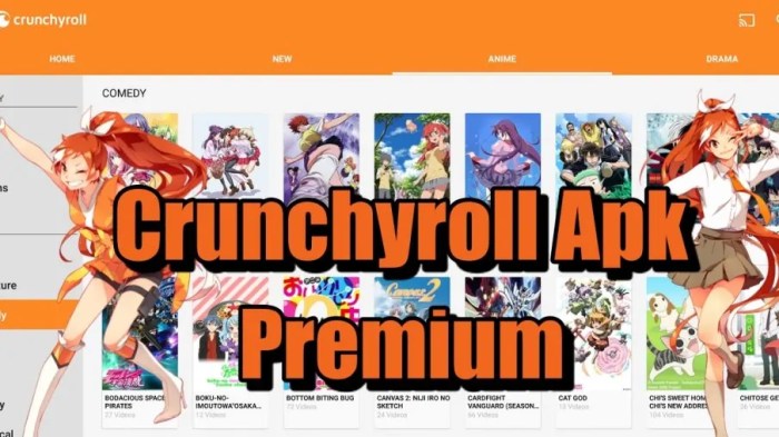 Crunchyroll anime streaming service brings free games for premium members