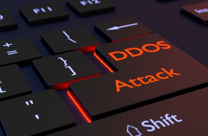 Ddos attack websites shut down