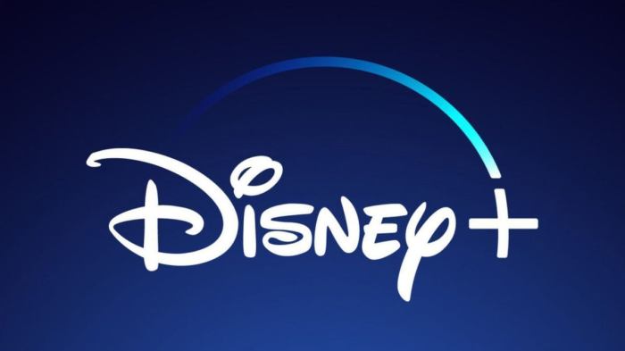Disney+ and Hulu Unveil Ad-Free Tier Price Hikes Disney plus hulu price increase ad supported tier